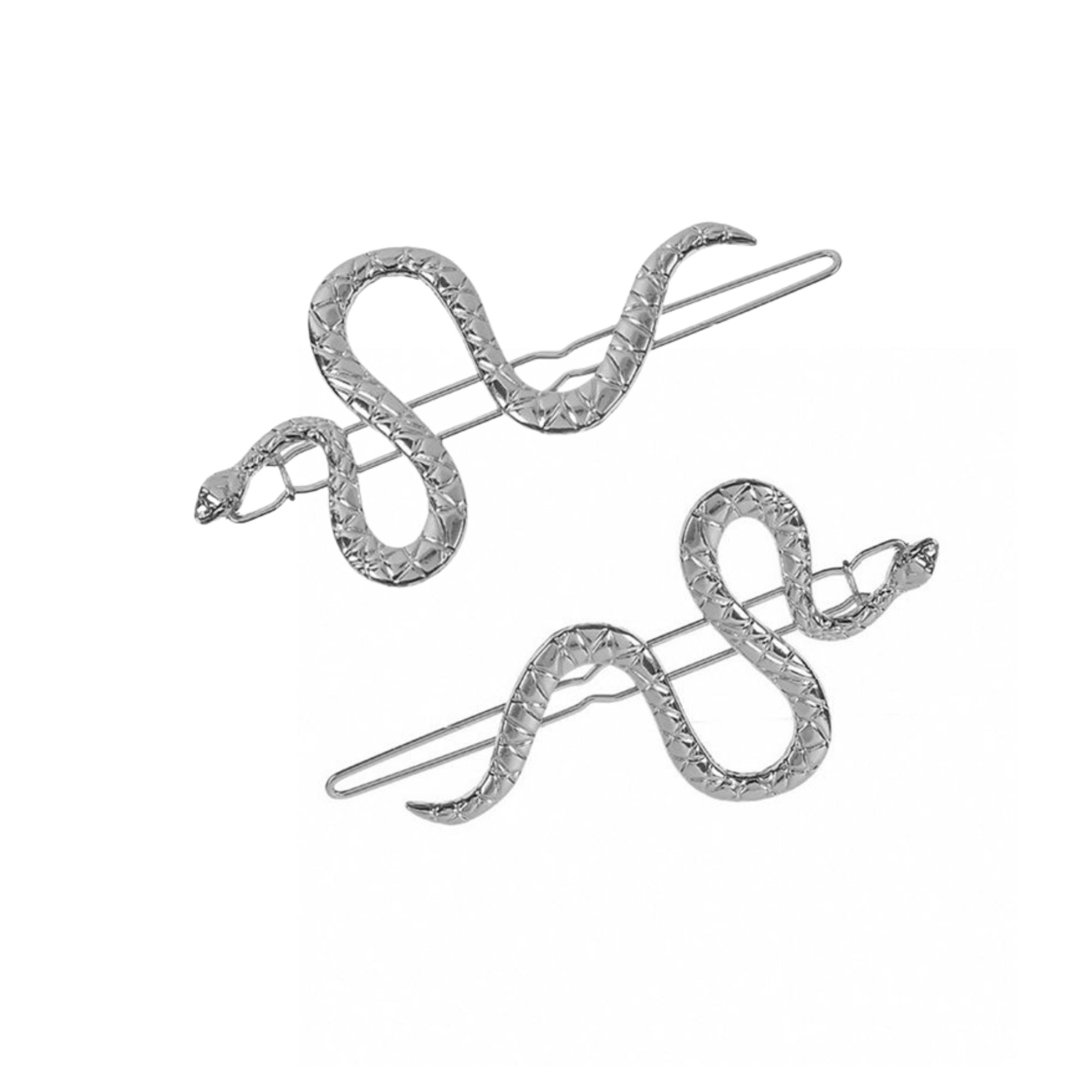 Snake Barrettes in Silver Besom Boutique